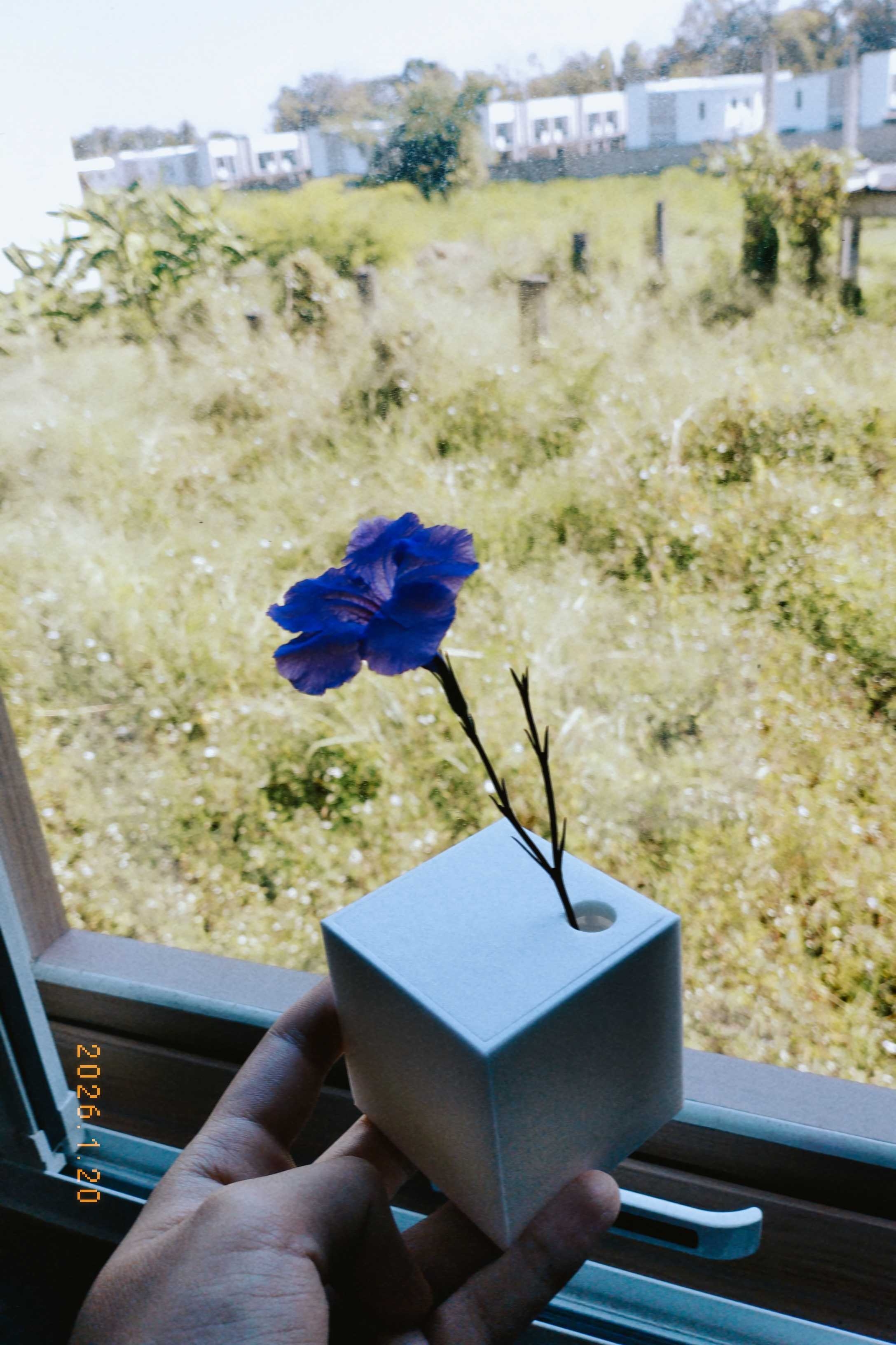 cube vase print